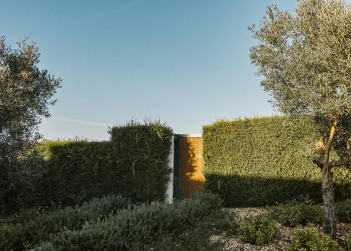 Beatriz Ocean View Aljezur